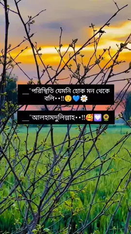 _<alhamdulillah..! 😌💙🌼 #foryou #foryoupage #unfrezzmyaccount #fyp @TikTok Bangladesh #🌼❤️🌼❤️🌼🎶✨💫🌟💚🤍💜💖🌟💫✨✨💫🌟💖💜🤍🎶🌼✨💫🌟 