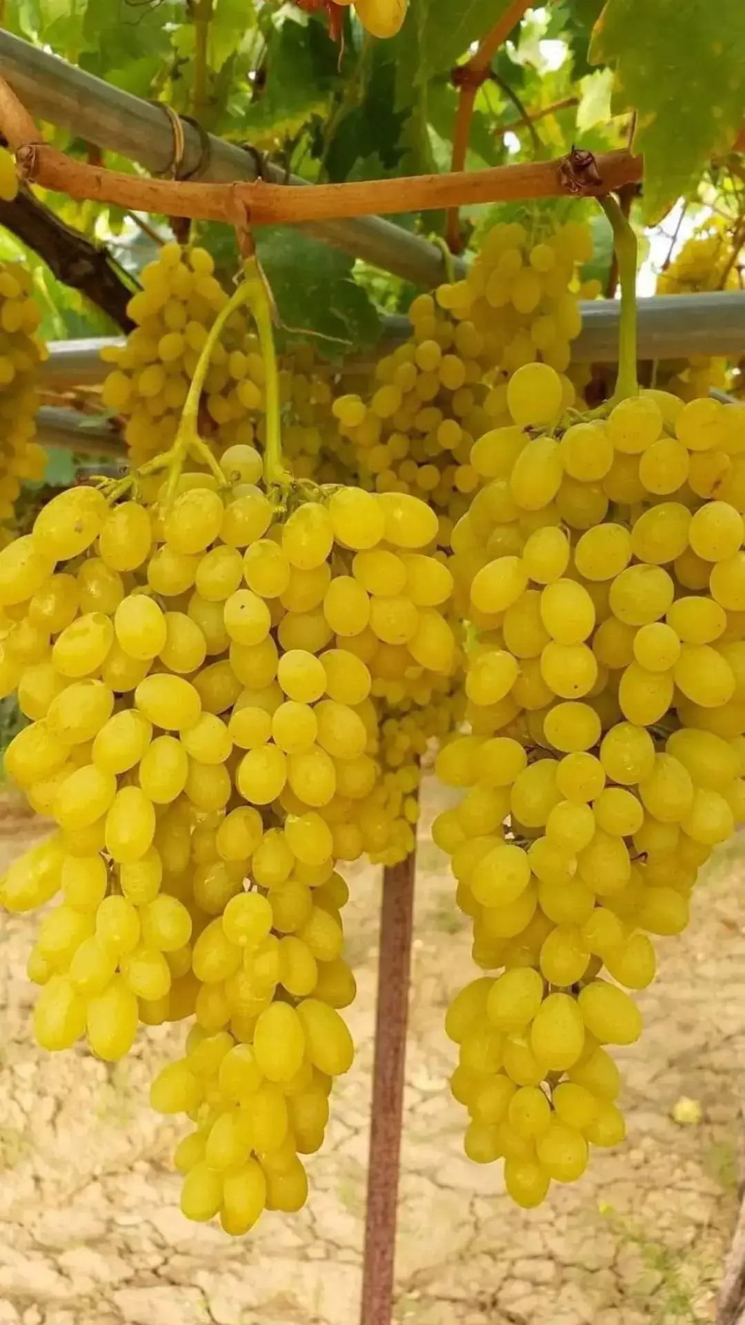 منظر طبيعي رائع. الطبيعه الطبيعة. فيديوهات الطبيعه. مناظر_الطبيعه. مناظر طبيعه طبيعيه. شلال. شلالات.  الطبيعه. منظر طبيعي رائع. مناظر_خلابه.  مناظر_الطبيعه. مناظر_طبعيه. #شلال #شلالات #الطبيعة #مناظر_طبيعيه #مناظر_خلابه #تيك_توك #tiktok #viralvideo #tiktoklongs #for you #fyp #مقاطع #مقطع #مقطع_طبيعه #منظر_جميل #منظر #مقطع_من_الطبيعه #مناظر_طبيعية #مناظرطبيعية #مناظرطبيعه #منظر #فيديوهات_منوعة #فيديوهات_عن_الطبيعة_بجودة_عالية #الطبيعه_اجمل_شي_للراحه_النفسيه #الطبيعة #مناظر_طبيعيه_رائعة #مناظر_خلابة #تيك_توك #ترند #اكسلبور #طبيعي #طبيعة خلابة مناظر خرافية بجودة عاليه viralvideo #viral #fyp #foryou# explore_اكسبلور# #tiktoklongs #pourtoi تريند #طبيعة# #viralvideo #tiktok 
