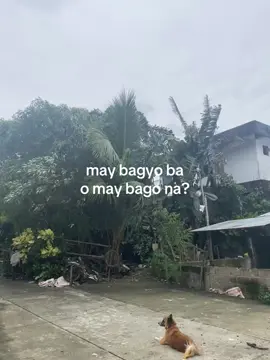 binuang #fyp 