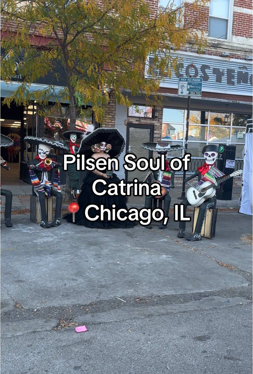 Pilsen Soul of Catrina 2024 #diadelosmuertos #chicago #pilsenchicago #pilsensoulofcatrina 