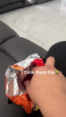 Chilling with bro 🦜 #fyp #hot #hotcheetos #for 