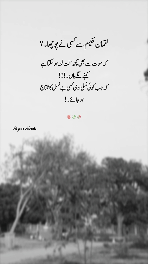 #trending #line #poetry 