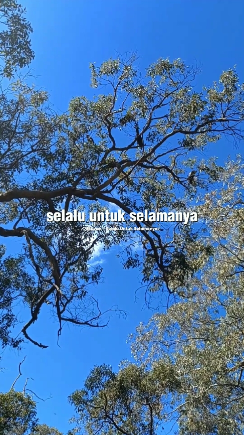 #selaluuntukselamanya #selaluuntukselamanyafatur #capcut #foryou #fyp 