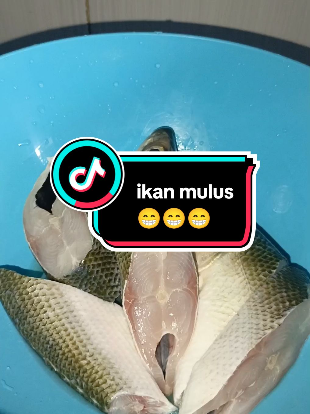 kuah teucrah ikan mulus 😁😁😁😁#masakankampung  #masakanAceh #khasAceh  #masyaAllahTabaraqallah  #janganlupabersyukur  #masakansederhana  #Acehviral #fypシ゚viral  #happycooking 🥰