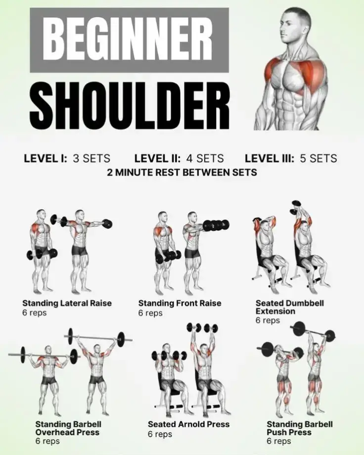 #shoulders #exercises #Fitness #gym #fitnesstips #bodybuilding #muscle #gain #training #workout #fyp 