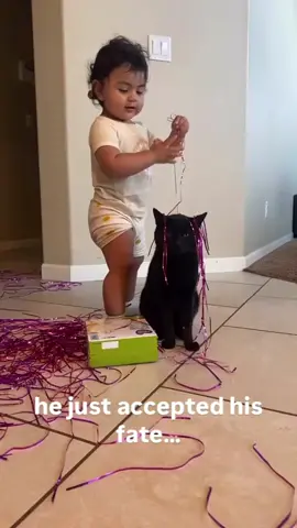 Go away. I don't want to see you right now.#cat #catsoftiktok #catlover #funny #funnyvideos #foryou #fypage #fypツ #funnycat #funnytiktok #cats 