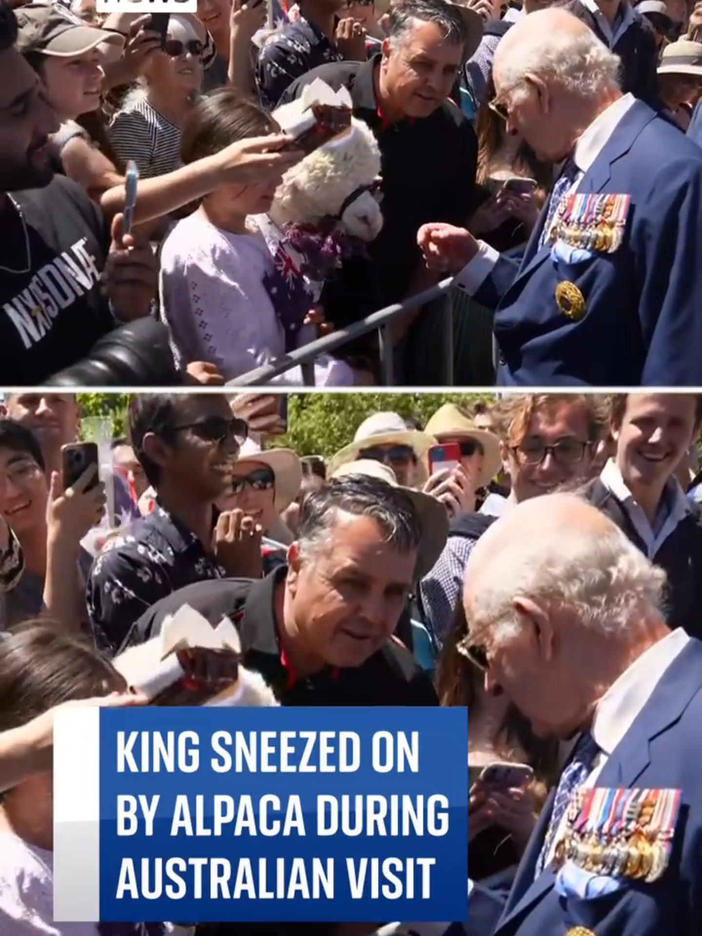 Alpaca sneezes on King Charles during his visit to Australia. #skynews#KingCharles#alpaca#Australia