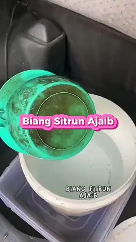 #biangsitrun #fypシ゚viral #diskontiktokshop #trendingvideo #biangsitrunmurah #biangsitrunserbukpenghilangnoda 