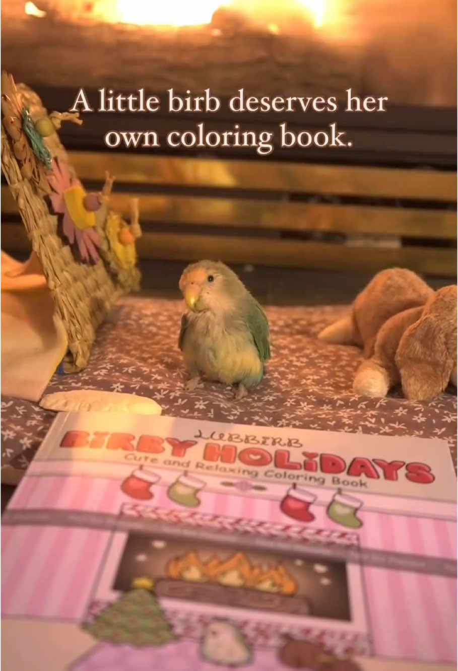 As you may know, Sweet-Pea is an old birb with heart trouble, and Dandelion is sick too. So if you want to help with their medical expenses, you can get their coloring book! Amazon in 🔗  #birds #bird #birdsoftiktyok #lovebirds #lovebird #pets #parrot #parrotsoftiktok #cuteanimals #parrots #動物 #animals #coloringbook 