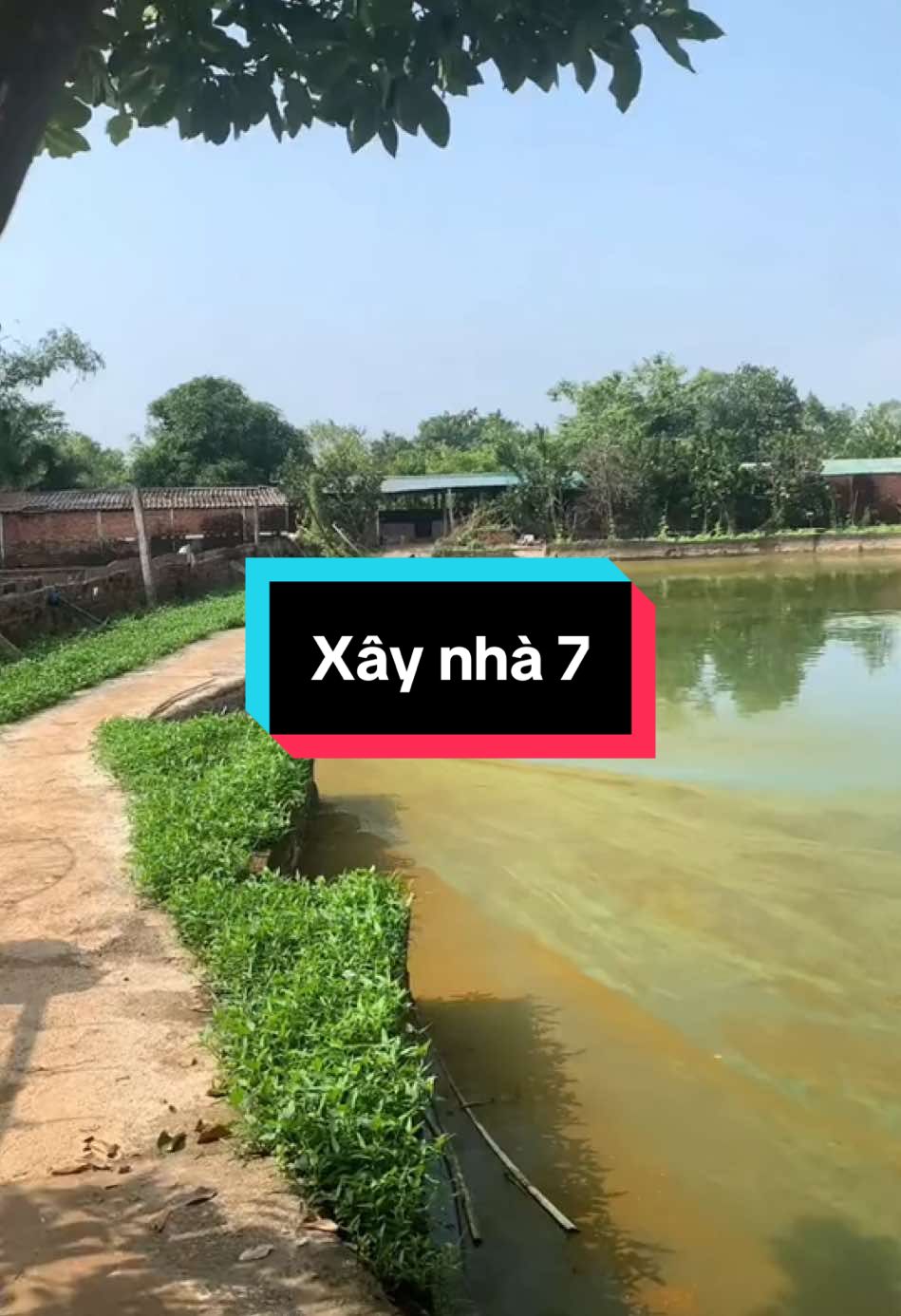 Bạn xây kênh tiktok như nào rồi #ducoanhdaily #xaykenhtiktok @Đức Bình Dân 