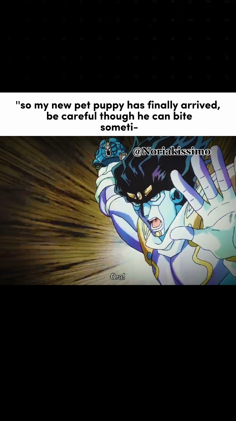 No matter how cute a dog is that thing is NOT biting me🙏😭💯💯 #jjba #jotaro #diamondisunbreakable # #CapCut #meme #real #relatable #fyp #foryou #koichi #jojosbizarreadventure #kira #kirayoshikage 