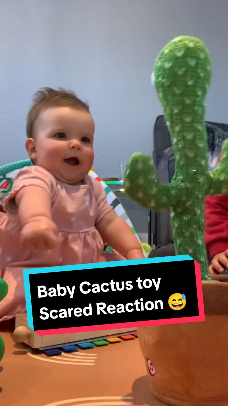 Baby Cactus toy Scared Reaction 😅. #baby #cactustoy #babyreaction #babycactus #reaction #cutebaby #babycrying #babyfunnyvideo #funnyvideo #babylove #1million #trendingvideo #viralbaby #viral_video #foryoupage❤️❤️ #fyp #fypppppppppppppp 