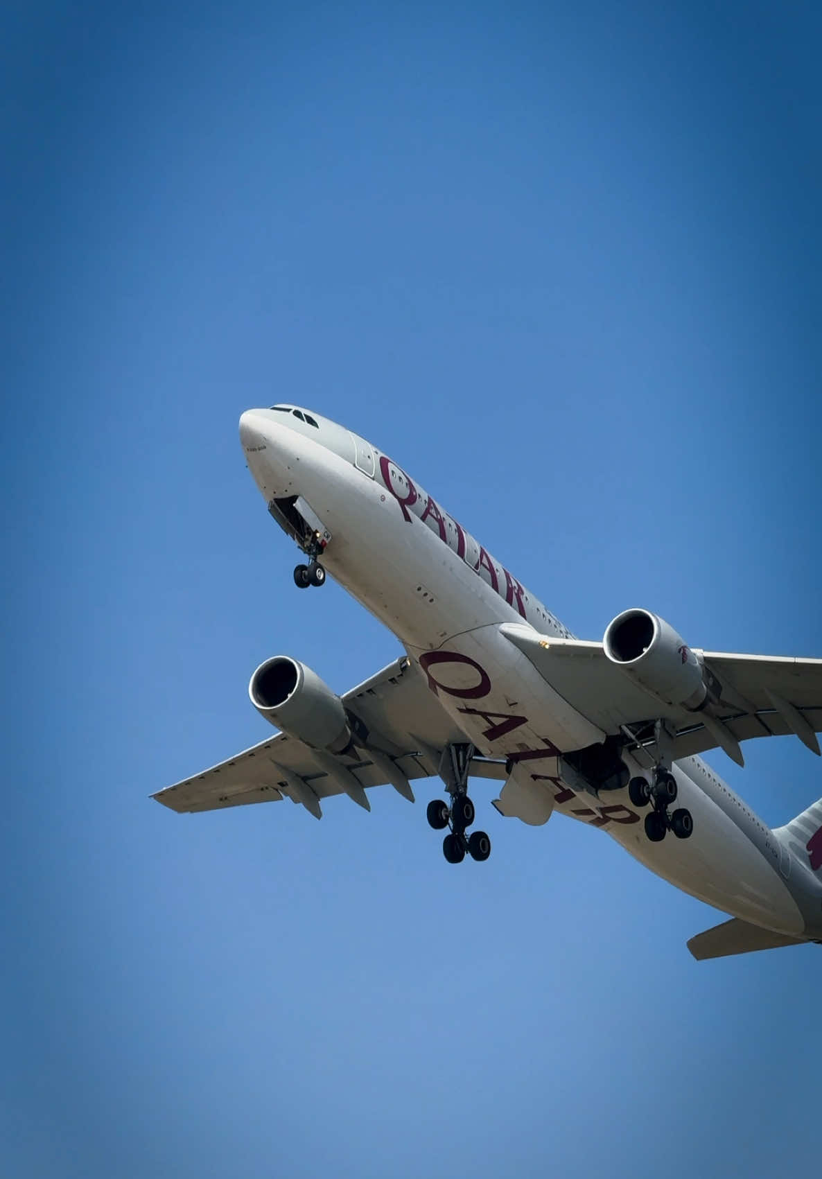 🥹🥹 @Qatar Airways 