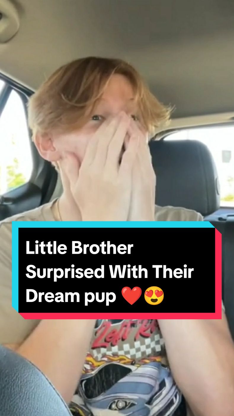 Best dog surprise reactions 😍 || Heart Touching Moments ❤️ #puppy #dog #doglovers #pet #dogsoftiktok #reaction #gift #surprise #hearttouching #emotional #wholesome #fyp #foryou 