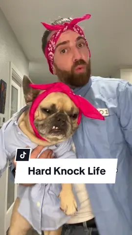 It’s close enough for me #dogs #dogparents #hardknocklife #austinpowers #frenchbulldog 