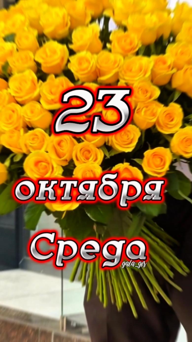 #23#октябрь#утро#доброе#среда#gala_gis