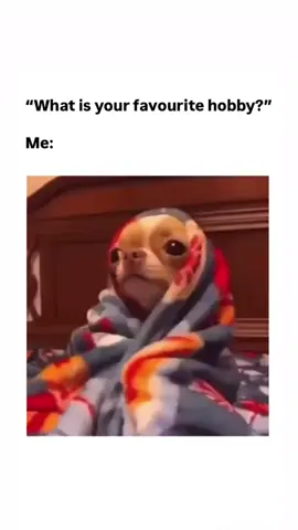 If sleeping was a competition… 🥇  . . . . . #viral #viralreels #reels #funny #viralvideos #meme #funnymemes #memes #sleep 
