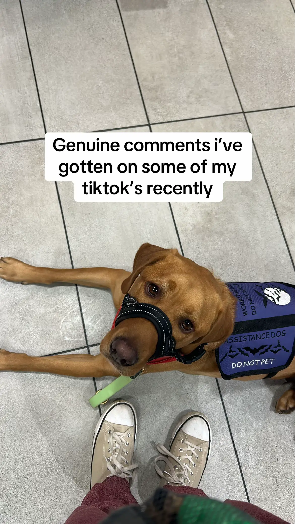 People like this make me wonder how humans actually survive on a daily basis sometimes 😭 || #fyp #uk #assistancedog #assistancedoguk #assistancedogsoftiktok #servicedog #awareness #education #dogsoftiktok #dogcommunity #dogcommunityfyp #dogcommunityoftiktok #disability #disabled #disabilitytiktok #disabilityawareness #disabledtiktok #disabilitypride #disabilities #mobilitydog #medicalalertdog #psychiatricservicedog #psychiatricassistancedog #ambulatorywheelchairuser #younganddisabled #workingdog #workingdogsoftiktok #gundog #gundogsoftiktok #labrador #foxredlab #labradorretriever #labradorsoftiktok #sunderland #northeastengland #notalldisabilitiesarevisible #invisibleillness #chronicillness #chronicallyill #invisibledisability #trans #transman #lgbt #LoveIsLove #dogsoftiktokviral #dogtok 