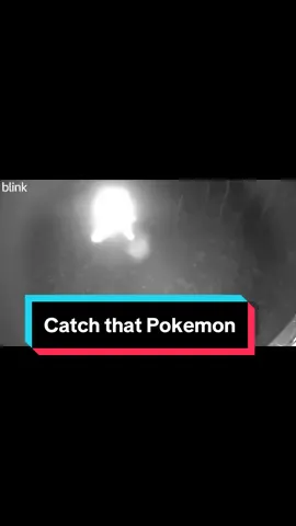 I know its a spider... #spider #trailcamera #studiointhewoods #pokemon #ditto #nature #greatoutdoors #caughtoncamera 