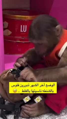 ههههههههههه الوضع اخر الشهر 😅😜 #اخر_الشهر #طفره #رواتب 