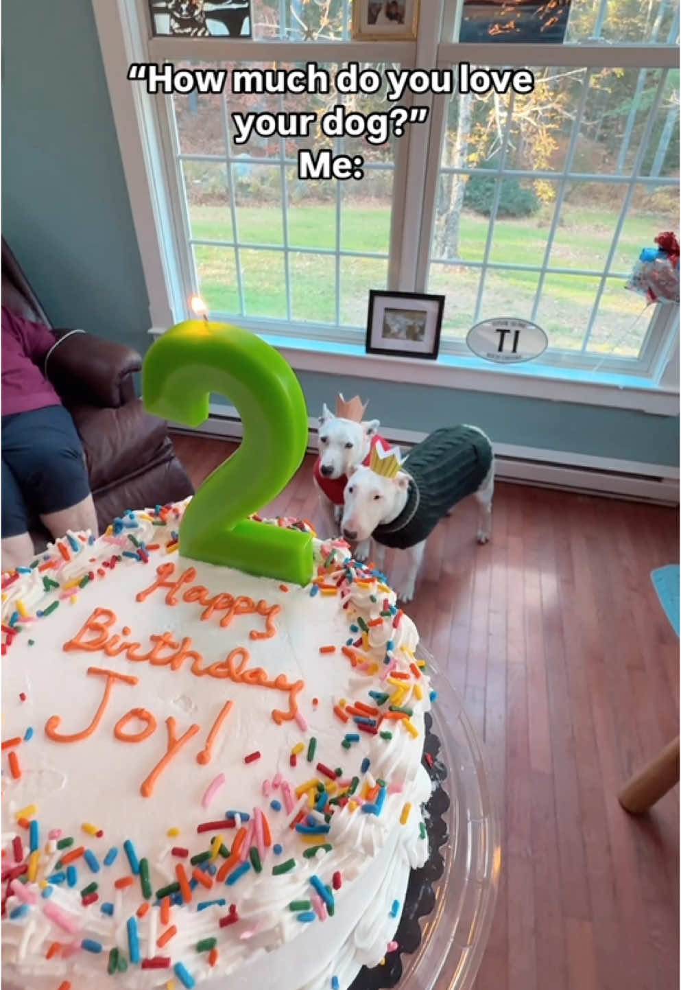 WISH JOY HAPPY 2ND BIRTHDAY! ⬇️⬇️⬇️ #birthday #pookie #joy #dogs #meme #partytime 