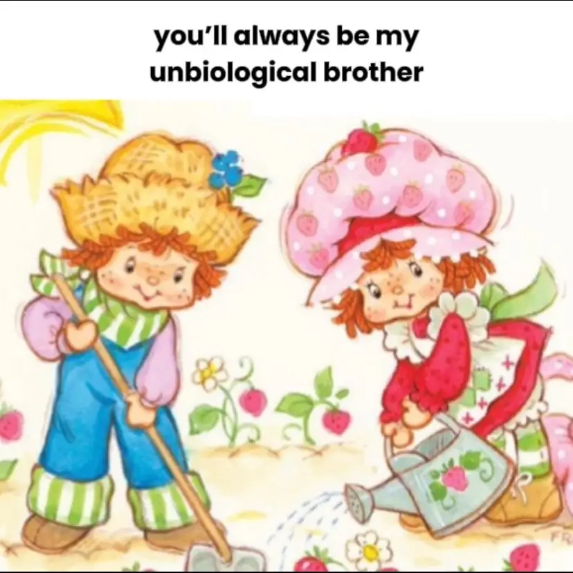 girl and boy version !! - requested by a lot of people ! | #strawberryshortcake🍓🍰 #huckleberrypie🫐🥧 #unbiologicalbrother #bsf #bestfriend #boybestfriend #brotherandsister — !!