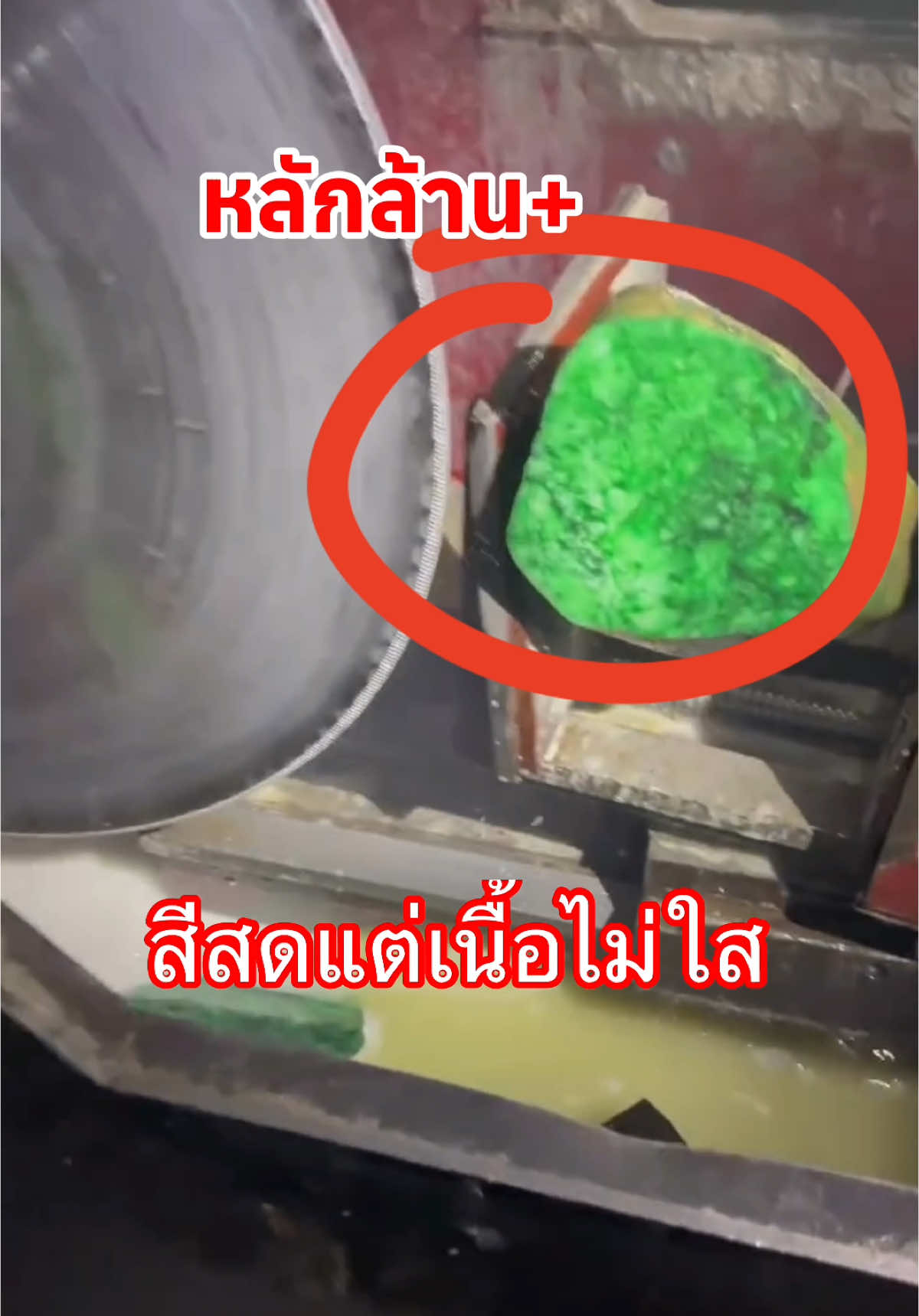 หยกใสๆหลักล้าน❗️เป็นยังไง❓#ความรู้ #jade #อาหารสมอง #jadeite #หยกแท้ #หยก 