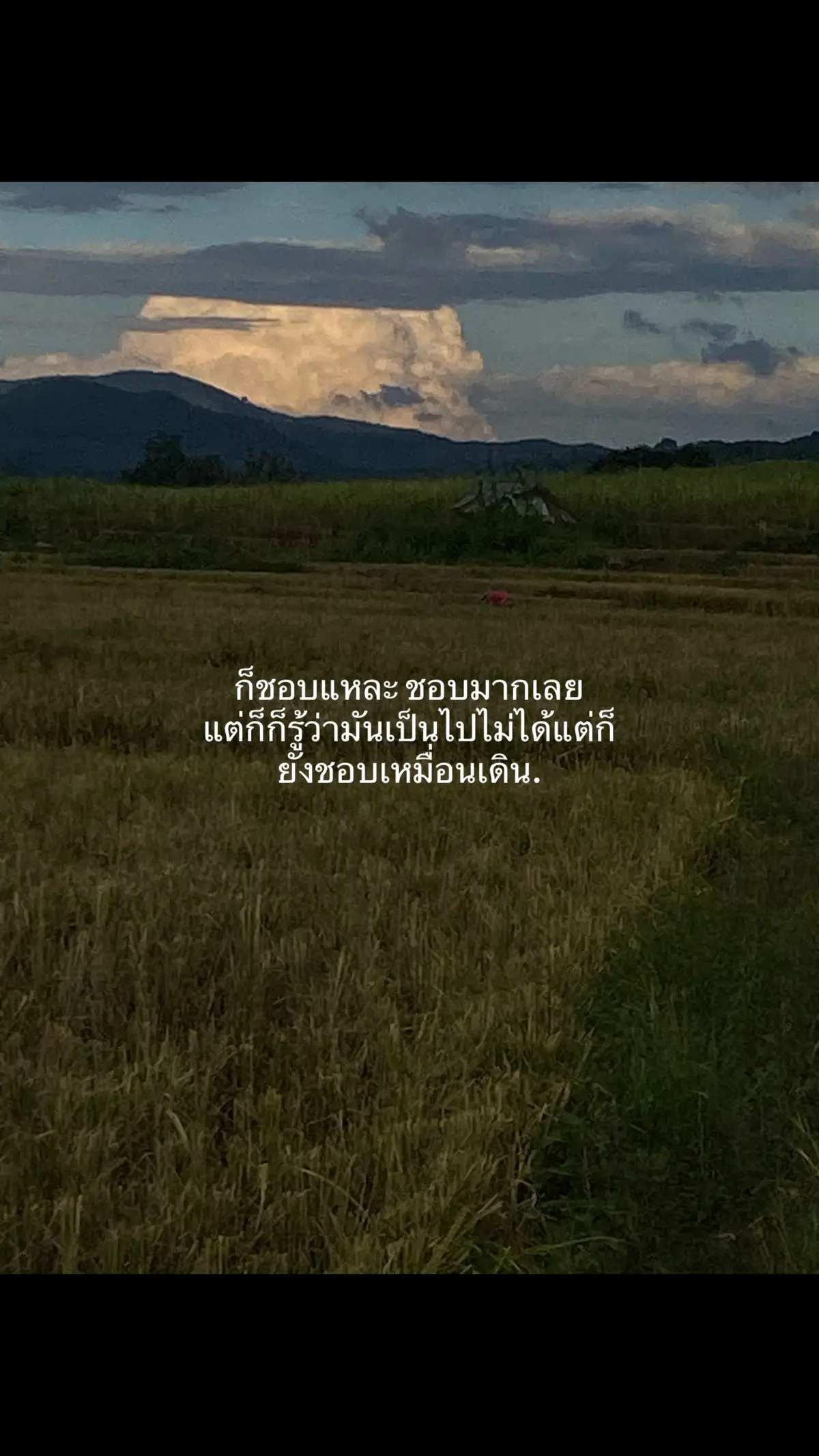 #fyp #เธรด #เธรดเพลง #เธรดแบชอบ #เธรดความรู้สึก #fypシ゚ #สตอรี.