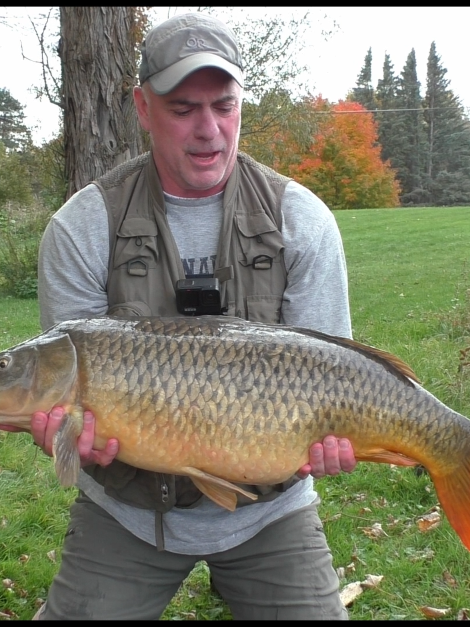 22lb Blank Saver - River Carp Fishing #carp #carpfishing #carpfishinguk #carpfishinglife #americancarp #americancarpsociety #americancarpfishing #rivercarp #rivercarpfishinguk #rivercarpfishing #wildcarp #wildcarpfishing #wildrivercarp