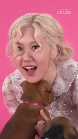 Besties, we have some exciting news! The @ROSÉ Puppy Interview drops tomorrow on BuzzFeed Celeb! Drop a 💗 in the comments if you're ready for it. #ROSÉ #PuppyInterview 