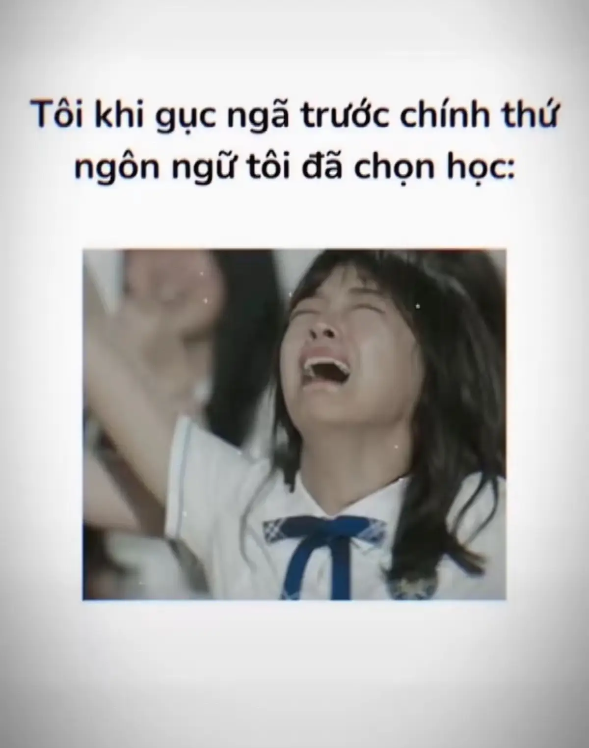 Bố mẹ bán con trâu cho con bò đi học😮‍💨 #xh #deutsch🇩🇪 #phuongthao 