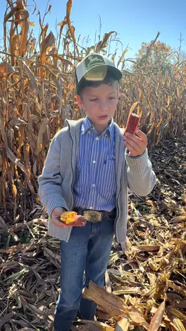 Jackson and harvest time - and driving his Uncle’s combine for the 1st time  #johndeere with his cousin in the buddy seat #harvesttime #tractor #makefarmingfun #jacksonfarmer #fall #homeschool @Luke Bryan 