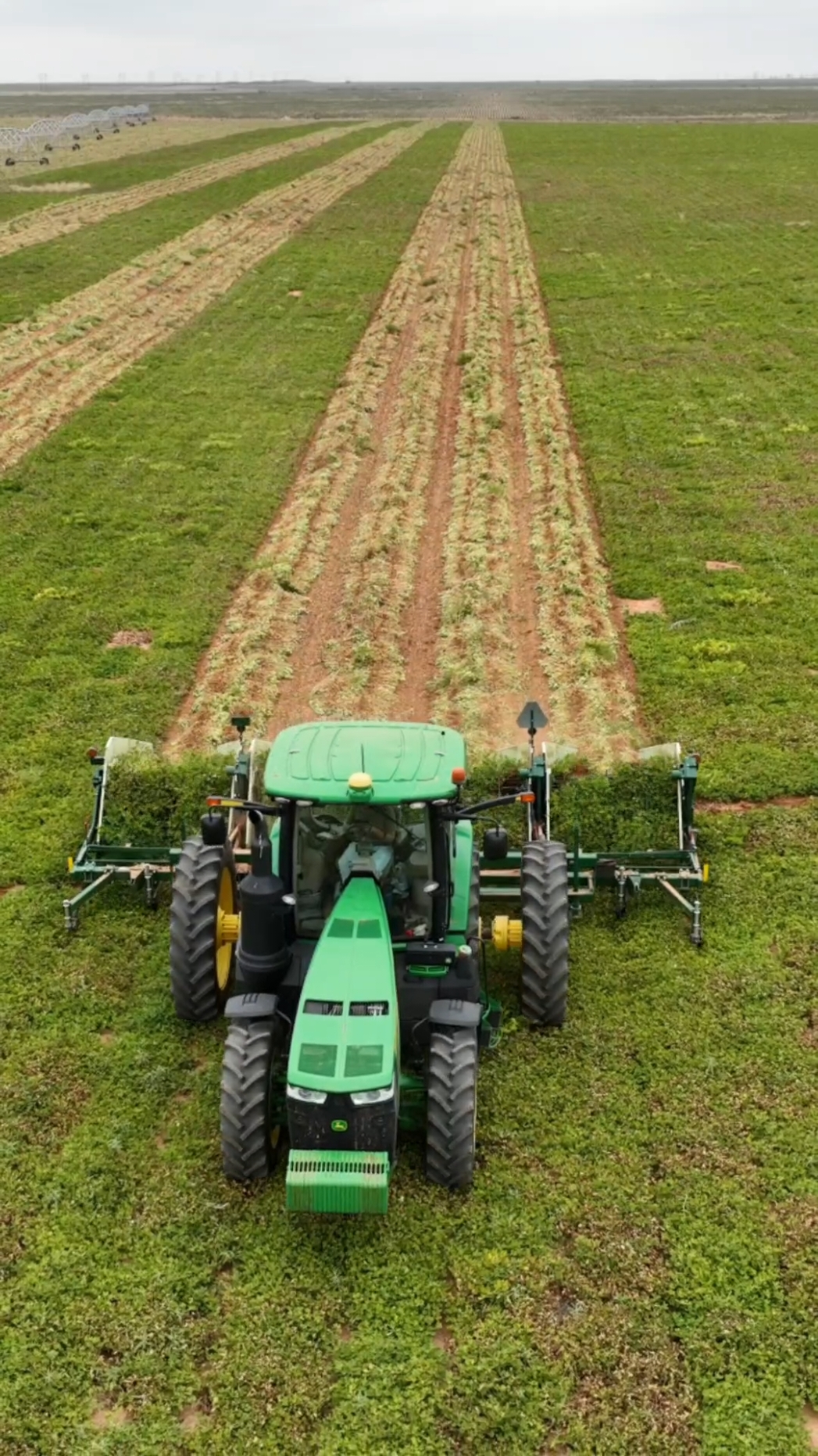 the best of Peanut digging 2024 #farm #johndeere #farmtok #tractor #peanuts #agriculture 