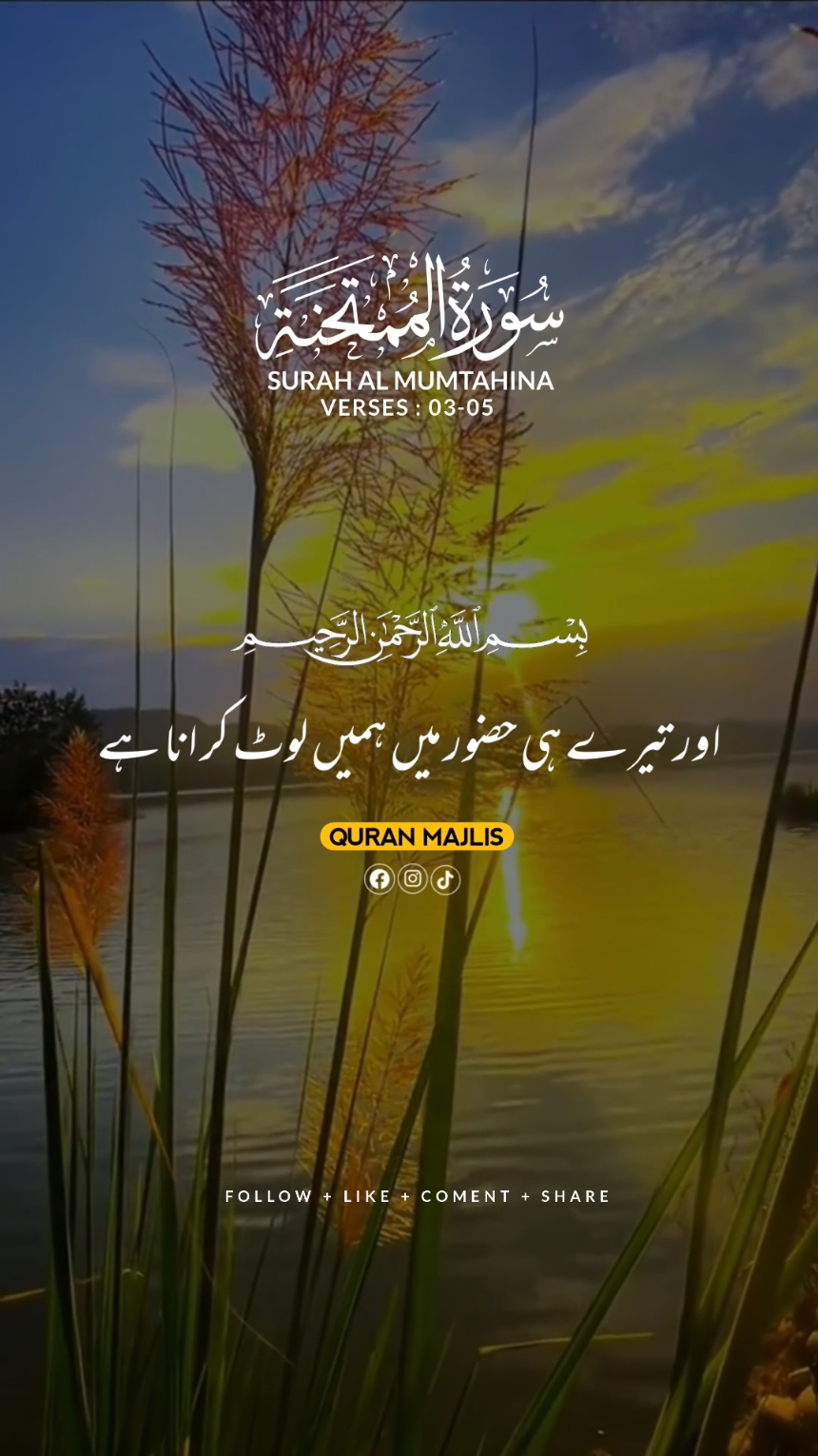 SURAH AL MUMTAHINA 🌺 VERSES (03-05)#islam #qurantranslationurdu #alquran #trending #fyp #unfrezzmyaccount 