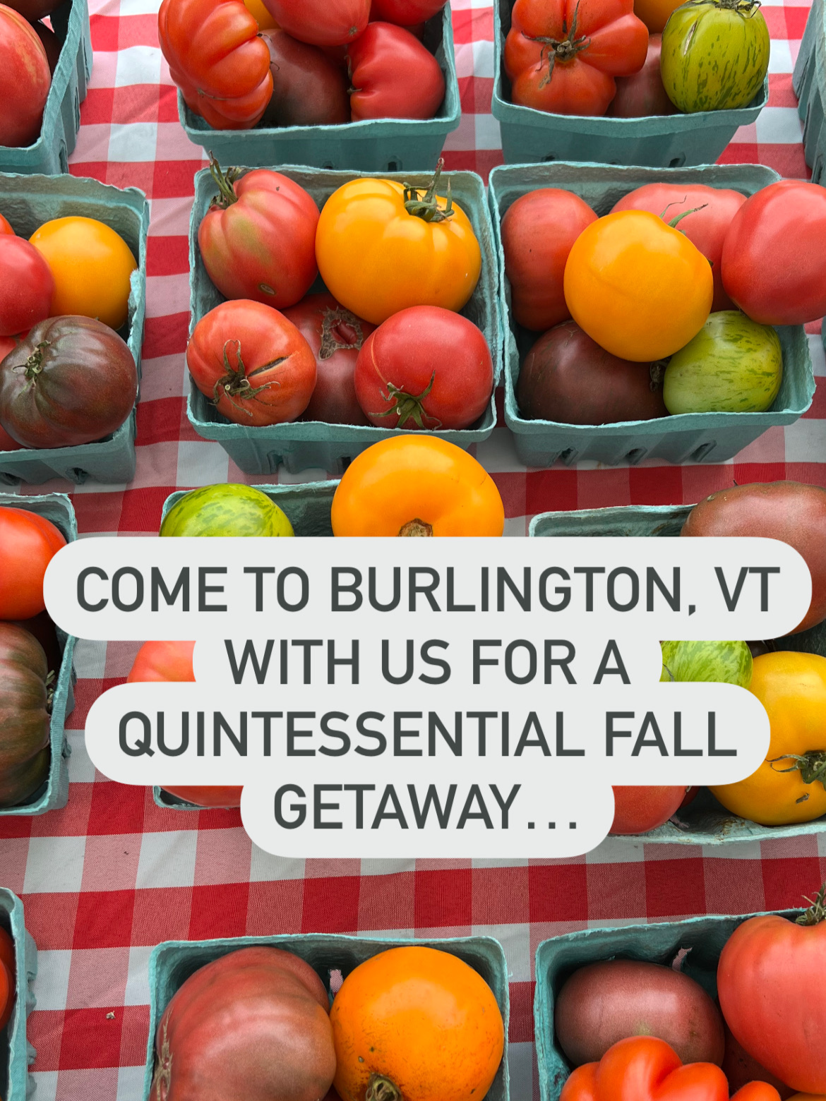 Calling all foodies and outdoor adventure seekers! Come to Burlington, VT with us for the quintessential fall getaway... #travel #traveltiktok #falltravel #falltrips #fallaesthetic #Outdoors #outdooradventures #autumn #vermont #vermonttiktok #vermonttravel #hotelvermont #burlington #burlingtonvt #burlingtonvermont #fallgetaway #Foodie #foodietiktok