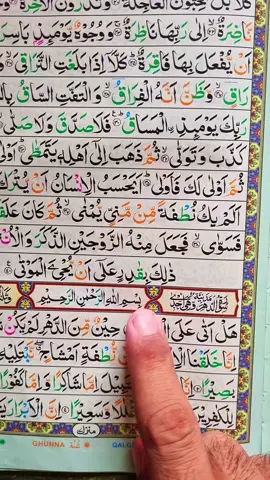 Surah Al-Insan 📖  #quran #fyp #fypシ #viral_video #1millionaudition #growmyaccount 