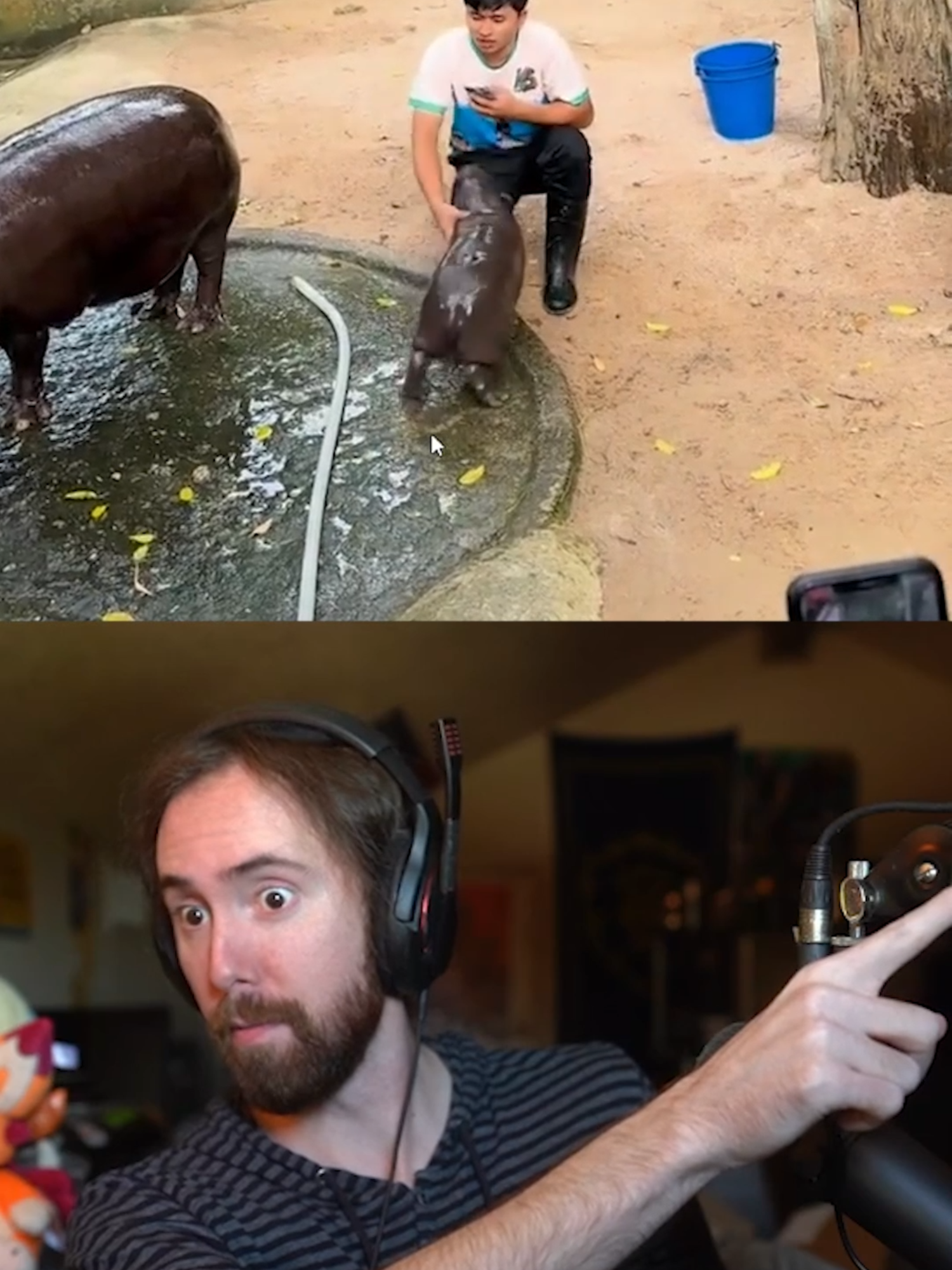 I TOLD YOU... #asmongold #fyp #twitch #twitchfails #livestream #streamer #moodeng #hippo #foryoupagee