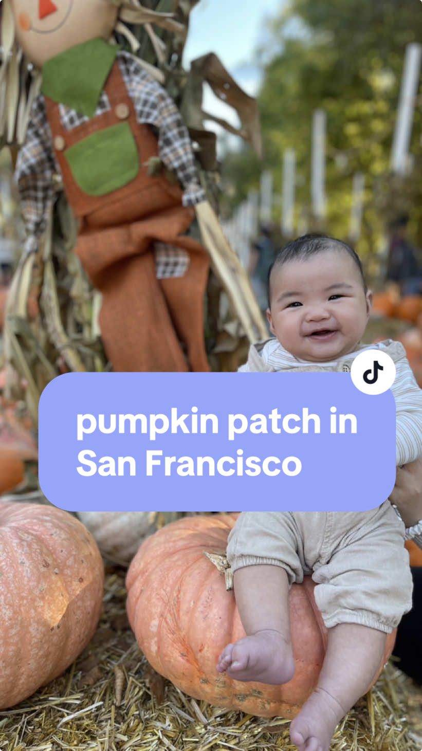 We took our 3.5 month old baby to a local pumpkin patch in San Francisco and had so much fun! We did not have the energy to travel far to visit a bigger patch in the Bay Area with our baby but this was much better than expected. Lots of cute decor to take photos of baby and a wide selection of pumpkins to purchase. Very family friendly! #newmom #pumpkinpatch #thingstodoinsanfrancisco 