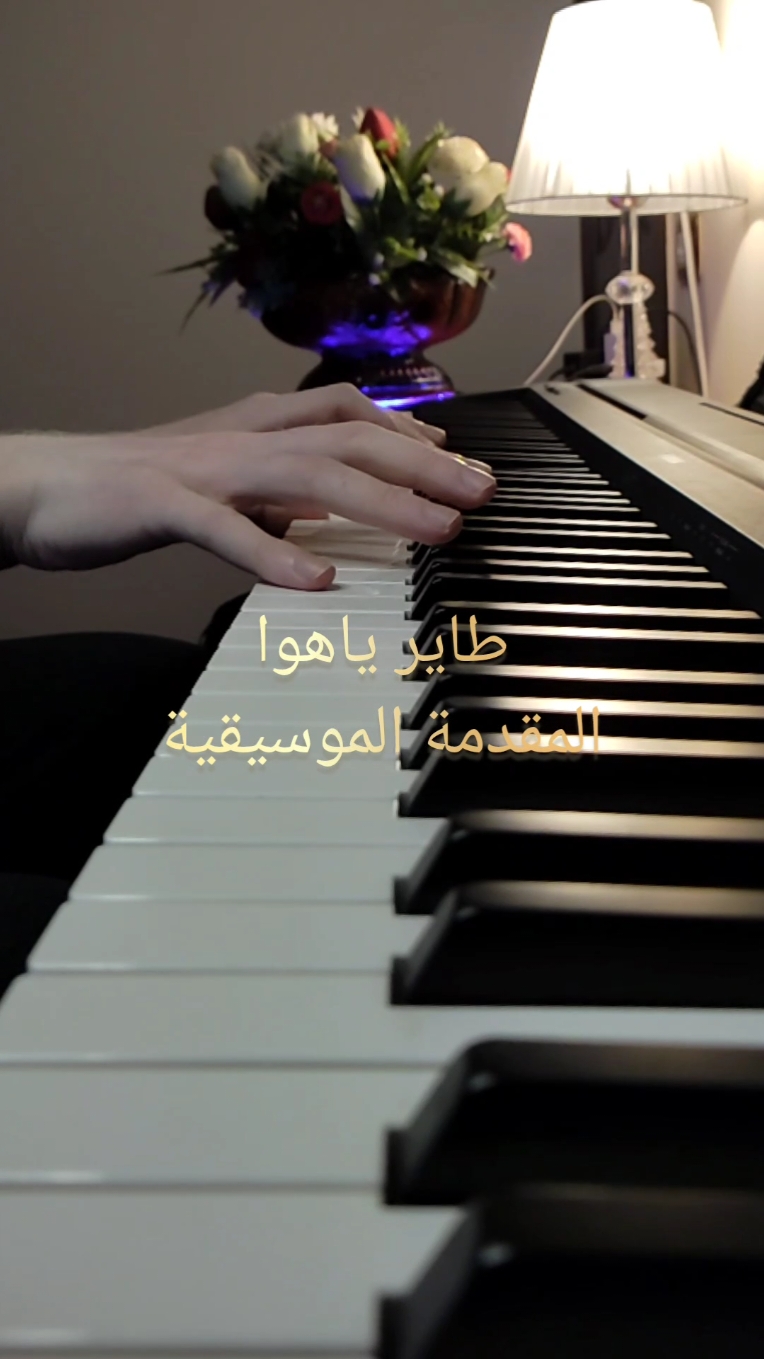 طاير يا هوا // المقدمة الموسيقية