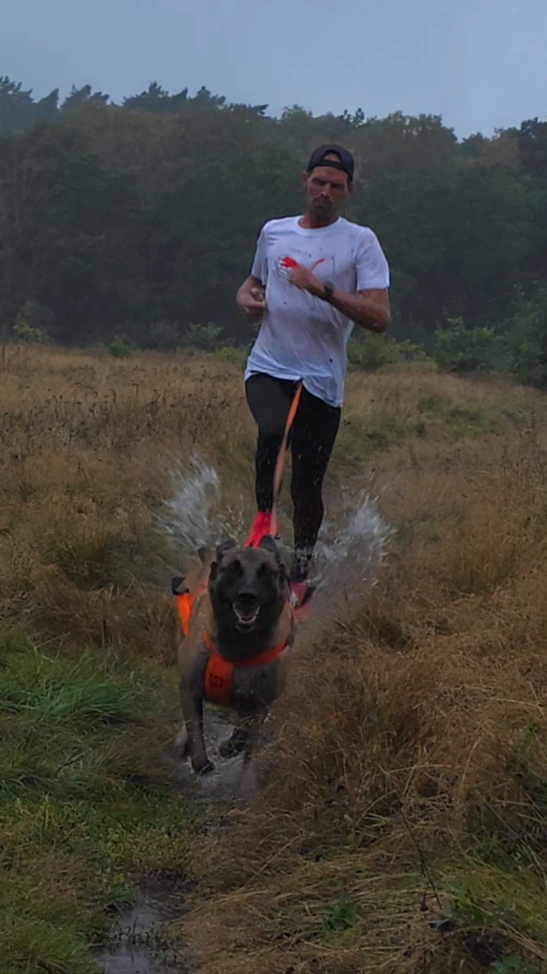 Always with a smile😀 #malinois #dogs #workingdog #hund #run #Running #hundar #löpning #wet #fyp #fy 