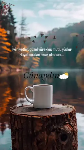 #günaydın_hayırlı_sabahlar #günaydın #cemalsüreya #nazımhikmet #güzelsözler #canyücel #şiirsözleri #kesfetteyiz 