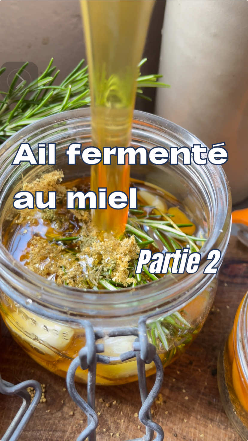 Qui a des astuces pour éplucher l’ail?? Parce que dans « Ail fermenté au miel » il y a « ail » (et même « beaucoup d’ail » ! ) L’épluchage de l’ail reste une sacrée mission et cette technique n’est pas vraiment validée de mon côté .. L’ail est nécessaire à la fermentation car il amène l’eau qui permet la fermentation.  Mais il amène aussi de nombreux bienfaits ! C’est un fortifiant global qui aide à maintenir le corps en bonne forme !  Composé d’allicine (un composé soufré antibactérien et antiviral) et d’antioxydants l’ail renforce l’action du système immunitaire et aide à protéger les cellules du stress oxydatif et des inflammations chroniques C’est le moment idéal pour te lancer dans la fabrication de ce condiment délicieux si tu veux passer un hiver serein et délicieux. N’hésite pas à enregistrer ce post et à t’abonner pour ne pas louper  nos prochains posts sur le sujet,  Si tu veux en savoir + tout de suite sur l’ail fermenté au miel :  🧐jette un œil sur notre article de blog 👉on t’a mis le lien en bio (Le miel est déconseillé aux enfants de moins de 3 ans) La bise !  #ail #fermentation #ailfermenté #miel #recette #recettefacile #remedenaturel #faitmaison #DIY #microbiote #grippe #hiver #virus #plantessauvages #lacto #lactofermentation #natural #lejardinestlarecette #jesuisunemauvaisegraine