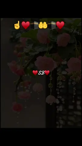 #♥️sb♥️🤝 #viral #fypシ #islamic_video #muslimtiktok🤲🤲🕋🕋🕌🕌 #plzunfreezemyaccout🙏🙏🙏🙏  
