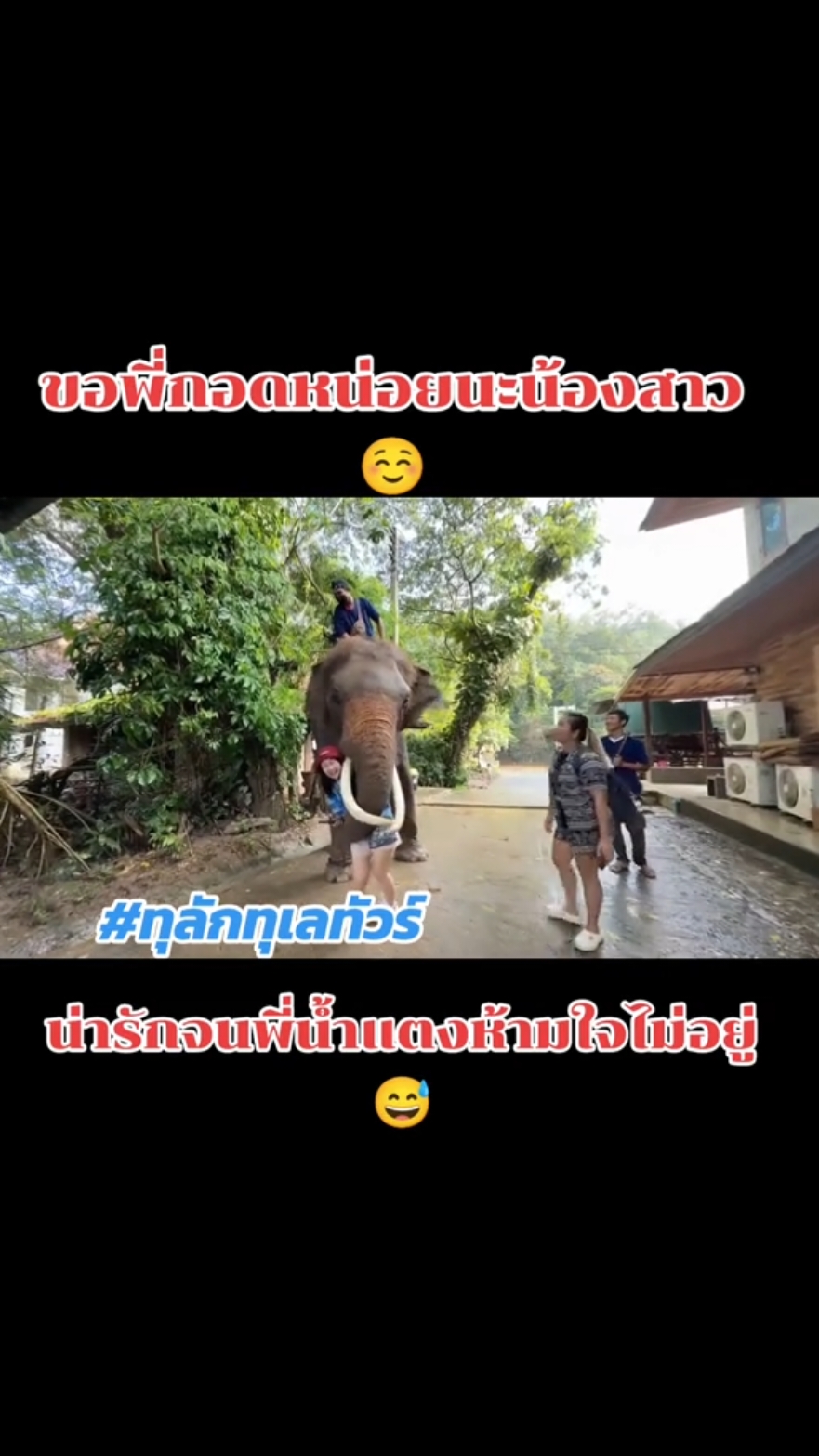 เมื่อแอด หน.จุ้ย โดนหนุ่มกอด 😅 #ทุลักทุเลทัวร์ #toolaktoolaytour #tiktokvideo #tiktoktravel #viraltiktok #elephant #elephantlover #elephantthailand #ช้าง #ช้างไทย #ปางช้างแม่แตง 