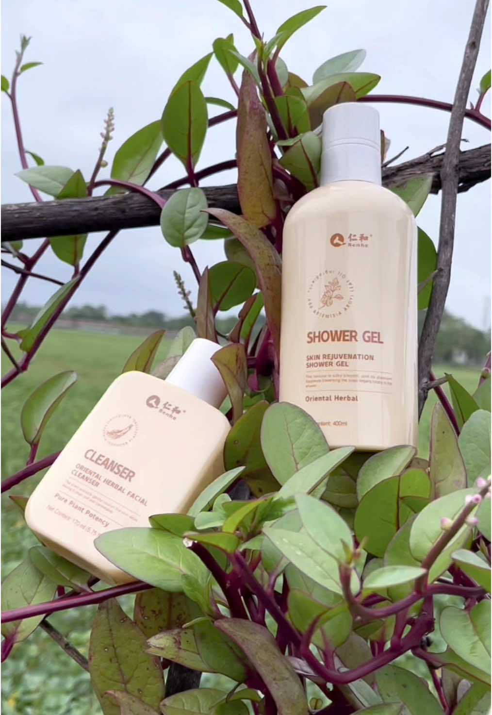 Revitalize your skin with the power of nature! 🌿✨ Say goodbye to harsh chemicals and hello to glowing skin with Renhe Shower Gel and Facial Cleanser. Ready for the ultimate self-care routine? #RenheSkincare #GlowUp @Renhe Official Shop #titowillsmanila 