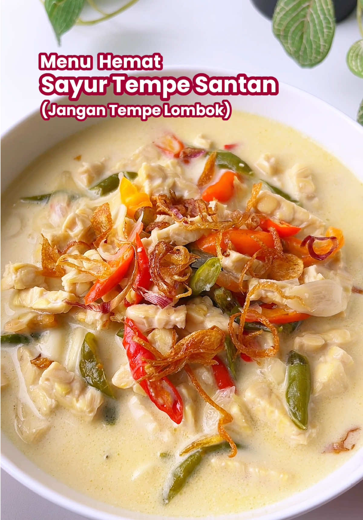 Masak simple tapi uenakkk. Jangan lombok 👌🏻 Bahan - Bahan : 1 papan tempe, potong-potong 1 liter santan sedang 2 ruas lengkuas 2 lembar daun salam 1/2 sdt ebi kering Gula merah, garam dan penyedap secukupnya Bumbu Iris : 12 siung bawang merah 7 siung bawang putih 15 cabe hijau keriting 7 cabe merah keriting 6 cabe rawit Cara masaknya bisa cek di video ya 🫶🏻 Jangan lupa masaknya sambil sering-sering diaduk agar santan tidak pecah, masaknya agak lama biar bumbunya lebih medhok 👌🏻 Selamat mencoba  #olahantempe #olahantempealun #menukeluarga #sayurtempe #menuhemat 