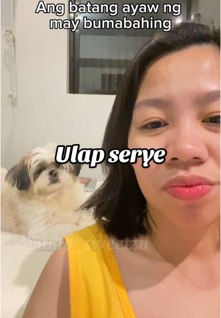 Diring-diri sa bumabahing e 😆 #allaboutulap #shihtzu #shihtzupuppy #dogsoftiktok #PetsOfTikTok 