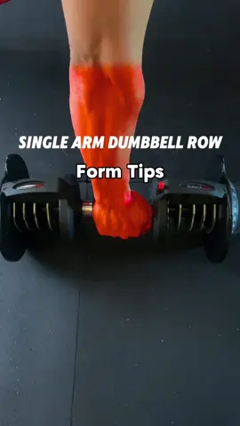 Tips for a Perfect Single-Arm Dumbbell Bent-Over Row: 1.	Grip Adjustment: Hold the dumbbell closer to your pinky finger. This subtle change helps reduce bicep engagement and shifts the focus onto your back muscles, particularly the lats. 2.	Leg Placement: Keep the leg on the same side as the working arm directly under your hips. This ensures a stable base, allowing you to row with better control and balance. 3.	Neck Positioning: Keep your neck neutral by looking down slightly during the movement. Avoid raising your head and looking forward, as this can strain your neck and disrupt proper spinal alignment. These tips promote correct form and muscle targeting, ensuring that you maximize the benefits of the exercise while minimizing the risk of injury. #back #backworkout #upperbodv #workouttips #gymtipsforbeginners #gymtips #gymrat #gymgirl #fyp #gymmotivation 