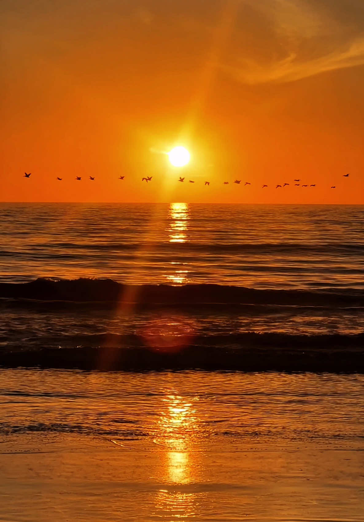 The light will always shine……🧡✨🧡 . . . . #sun#sunsetloversineyourlight #sunset #pacificoceanligh #naturelove #goldenhour #sunsetglow #tranquality #peace 