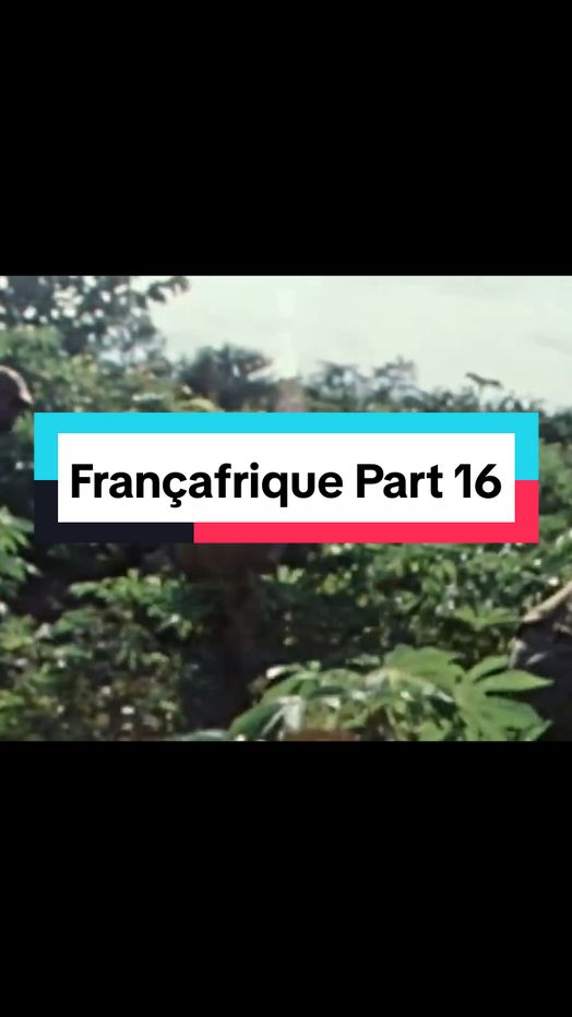 Françafrique - Partie 16 #doc  #documentaire  #afrique  #conscientix  #francafrique  #gabon🇬🇦  #cameroun  #benintiktok🇧🇯  #cotedivoire🇨🇮  #guineenne224🇬🇳 